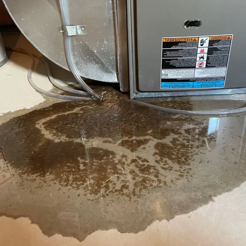 Pipe Burst and Leak Restoration in Wilkes County, NC